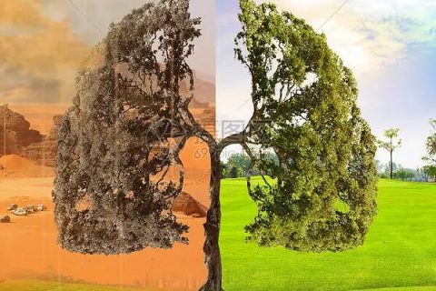 噴粉作業(yè)未按要求密閉施工，市污防攻堅辦向太倉市印發(fā)督辦單